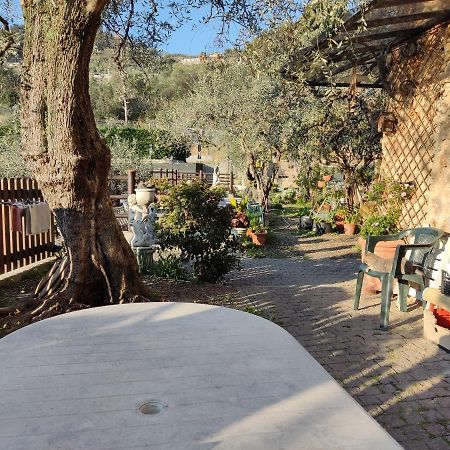 Casa Elvira Daire Seglia San Bernardo Dış mekan fotoğraf