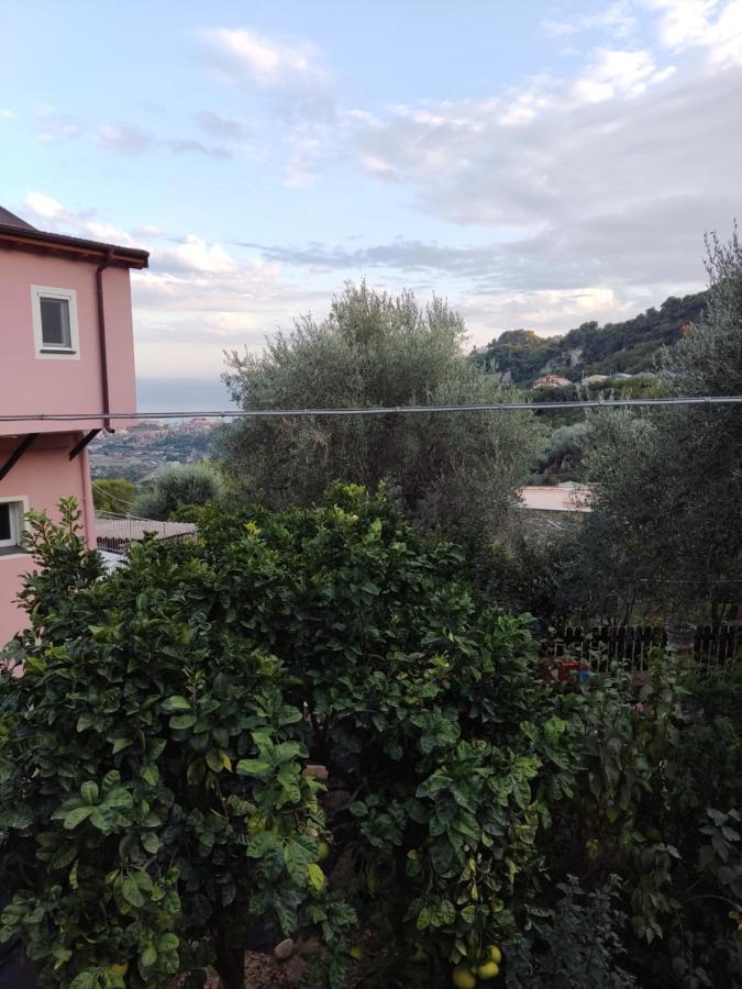 Casa Elvira Daire Seglia San Bernardo Dış mekan fotoğraf