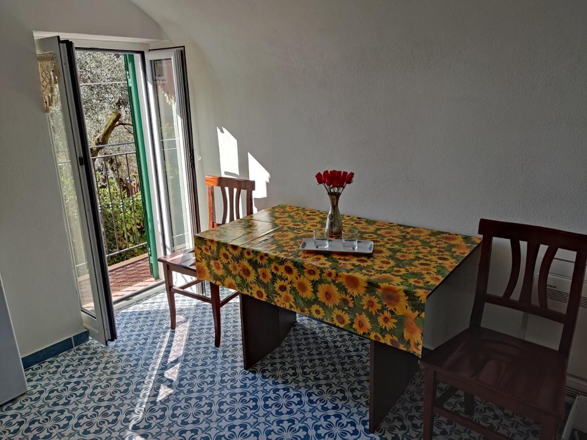 Casa Elvira Daire Seglia San Bernardo Dış mekan fotoğraf