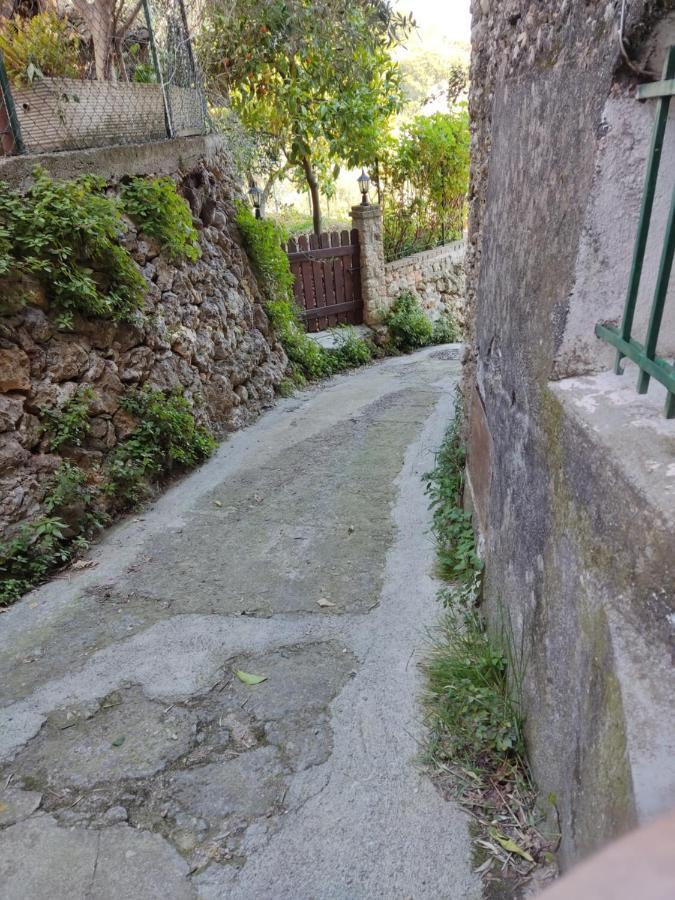 Casa Elvira Daire Seglia San Bernardo Dış mekan fotoğraf
