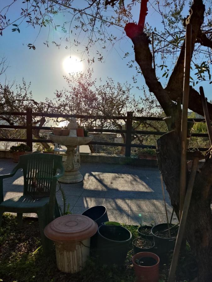 Casa Elvira Daire Seglia San Bernardo Dış mekan fotoğraf