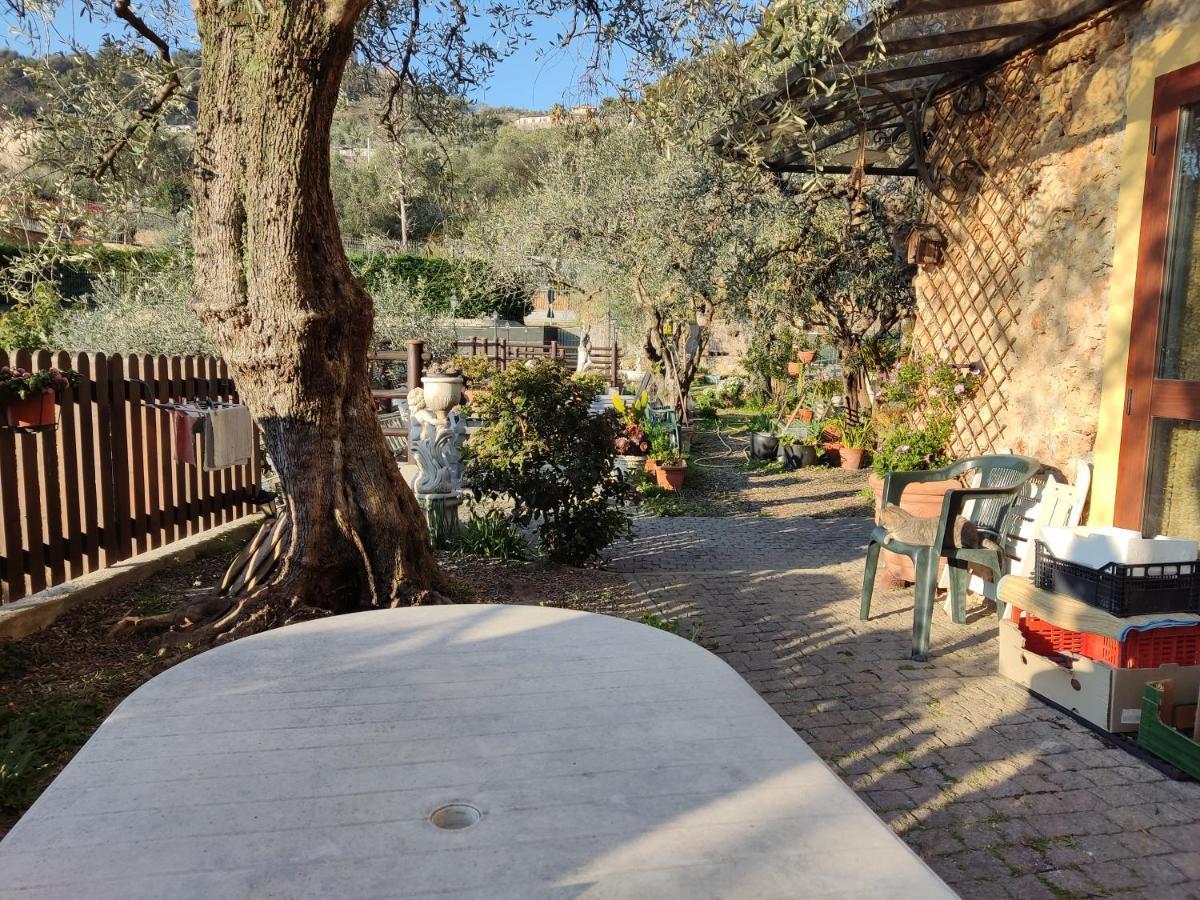 Casa Elvira Daire Seglia San Bernardo Dış mekan fotoğraf